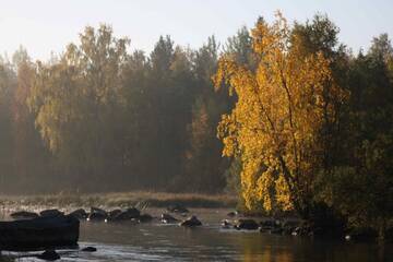 Фотографии Отель Linna-hotelli г. Хартола (Финляндия) №2 Фото Отель Linna-hotelli г. Хартола 2